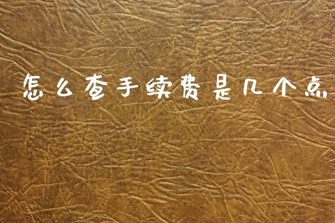 怎么查手续费是几个点_https://wap.jnbaishite.cn_期货资讯_第1张