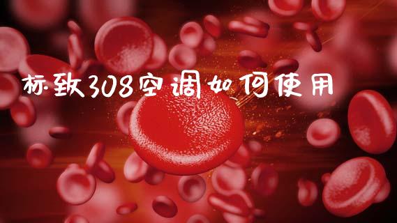 标致308空调如何使用_https://wap.jnbaishite.cn_金融资讯_第1张