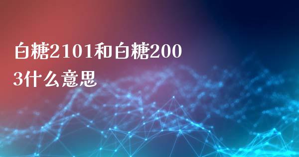 白糖2101和白糖2003什么意思_https://wap.jnbaishite.cn_全球财富_第1张