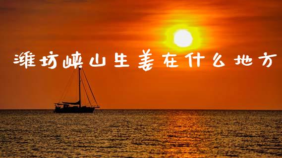 潍坊峡山生姜在什么地方_https://wap.jnbaishite.cn_理财投资_第1张