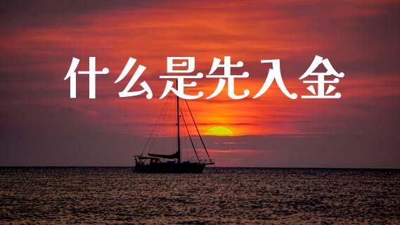 什么是先入金_https://wap.jnbaishite.cn_金融资讯_第1张