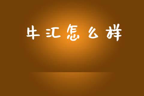 牛汇怎么样_https://wap.jnbaishite.cn_金融资讯_第1张