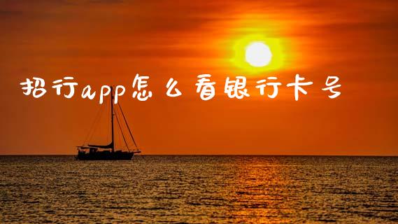招行app怎么看银行卡号_https://wap.jnbaishite.cn_期货资讯_第1张
