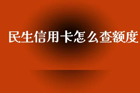 民生信用卡怎么查额度_https://wap.jnbaishite.cn_理财投资_第1张