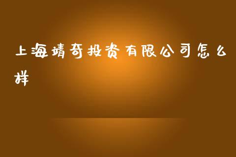 上海靖奇投资有限公司怎么样_https://wap.jnbaishite.cn_金融资讯_第1张