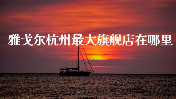 雅戈尔杭州最大旗舰店在哪里_https://wap.jnbaishite.cn_金融资讯_第1张