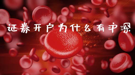 证券开户为什么有沪深_https://wap.jnbaishite.cn_期货资讯_第1张