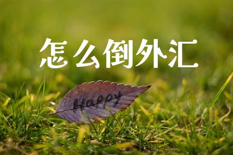 怎么倒外汇_https://wap.jnbaishite.cn_期货资讯_第1张