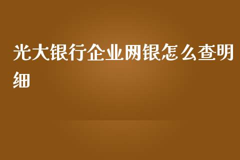 光大银行企业网银怎么查明细_https://wap.jnbaishite.cn_全球财富_第1张