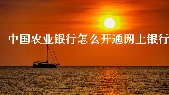 中国农业银行怎么开通网上银行_https://wap.jnbaishite.cn_理财投资_第1张