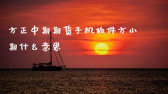 方正中期期货手机软件方小期什么意思_https://wap.jnbaishite.cn_理财投资_第1张