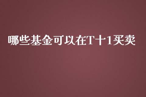 哪些基金可以在T十1买卖_https://wap.jnbaishite.cn_期货资讯_第1张