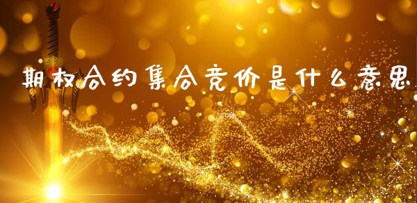 期权合约集合竞价是什么意思_https://wap.jnbaishite.cn_期货资讯_第1张