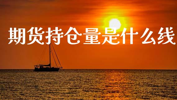 期货持仓量是什么线_https://wap.jnbaishite.cn_金融资讯_第1张