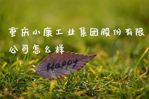 重庆小康工业集团股份有限公司怎么样_https://wap.jnbaishite.cn_期货资讯_第1张