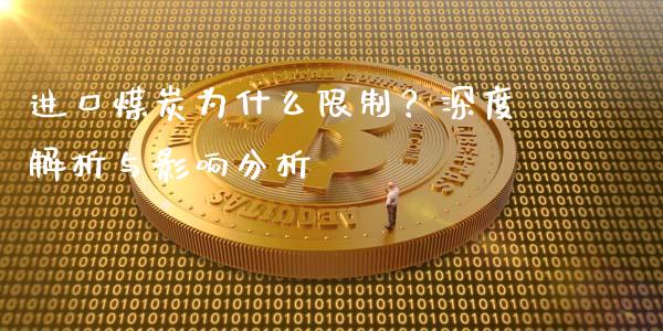 进口煤炭为什么限制？深度解析与影响分析_https://wap.jnbaishite.cn_期货资讯_第1张