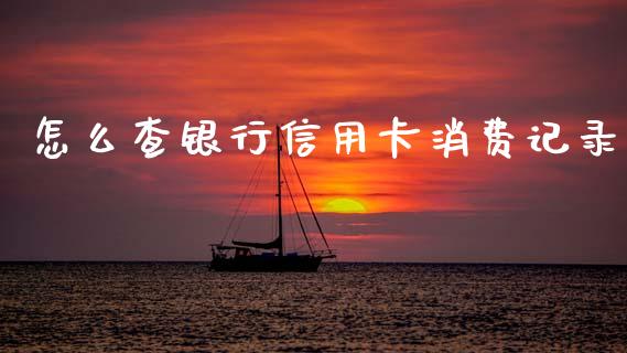 怎么查银行信用卡消费记录_https://wap.jnbaishite.cn_期货资讯_第1张