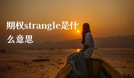 期权strangle是什么意思_https://wap.jnbaishite.cn_理财投资_第1张
