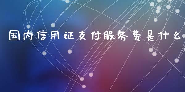 国内信用证支付服务费是什么_https://wap.jnbaishite.cn_期货资讯_第1张