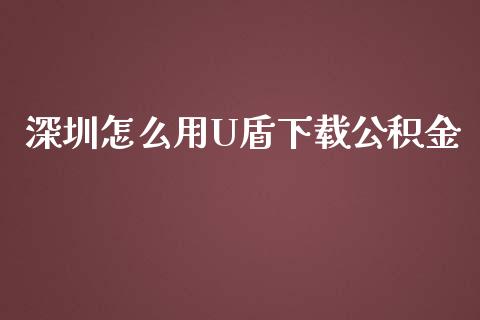 深圳怎么用U盾下载公积金_https://wap.jnbaishite.cn_期货资讯_第1张