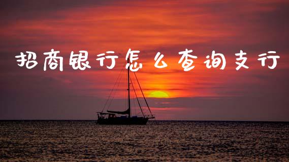 招商银行怎么查询支行_https://wap.jnbaishite.cn_理财投资_第1张