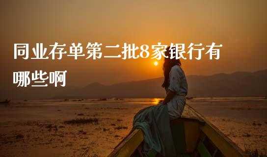 同业存单第二批8家银行有哪些啊_https://wap.jnbaishite.cn_全球财富_第1张