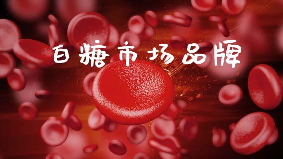 白糖市场品牌_https://wap.jnbaishite.cn_金融资讯_第1张