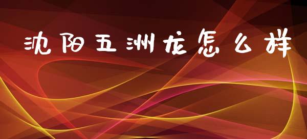 沈阳五洲龙怎么样_https://wap.jnbaishite.cn_全球财富_第1张