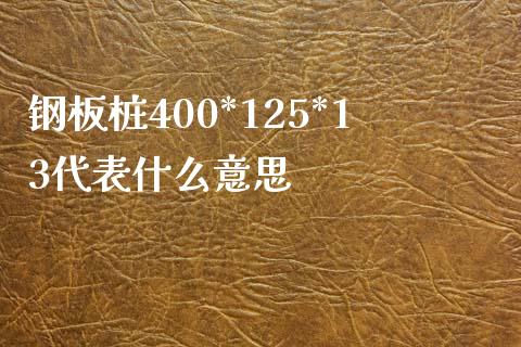 钢板桩400*125*13代表什么意思_https://wap.jnbaishite.cn_期货资讯_第1张