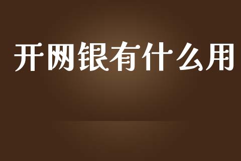 开网银有什么用_https://wap.jnbaishite.cn_全球财富_第1张