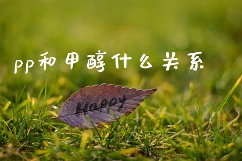 pp和甲醇什么关系_https://wap.jnbaishite.cn_全球财富_第1张