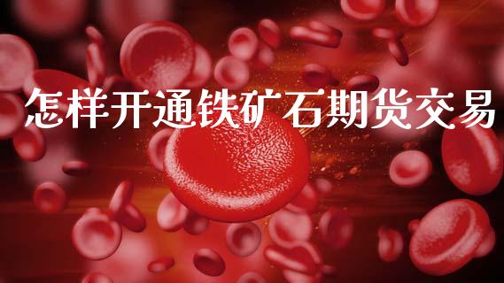 怎样开通铁矿石期货交易_https://wap.jnbaishite.cn_金融资讯_第1张
