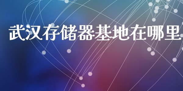 武汉存储器基地在哪里_https://wap.jnbaishite.cn_全球财富_第1张