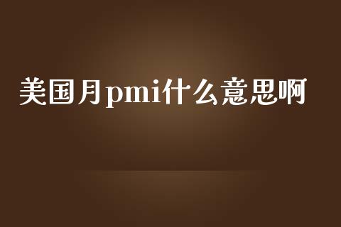 美国月pmi什么意思啊_https://wap.jnbaishite.cn_全球财富_第1张