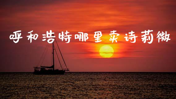 呼和浩特哪里卖诗莉微_https://wap.jnbaishite.cn_期货资讯_第1张