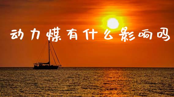 动力煤有什么影响吗_https://wap.jnbaishite.cn_金融资讯_第1张