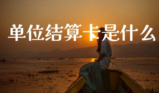 单位结算卡是什么_https://wap.jnbaishite.cn_理财投资_第1张