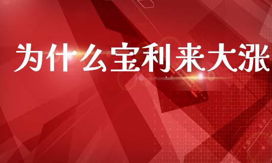 为什么宝利来大涨_https://wap.jnbaishite.cn_理财投资_第1张