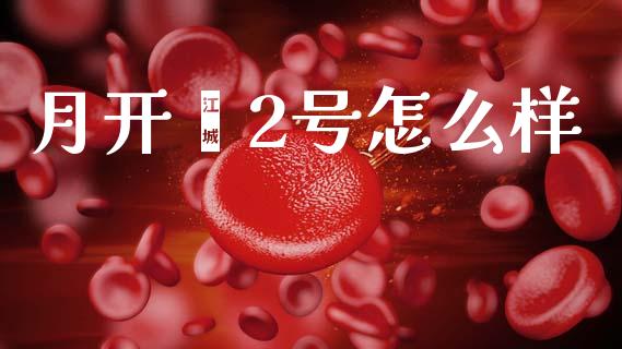月开鑫2号怎么样_https://wap.jnbaishite.cn_理财投资_第1张