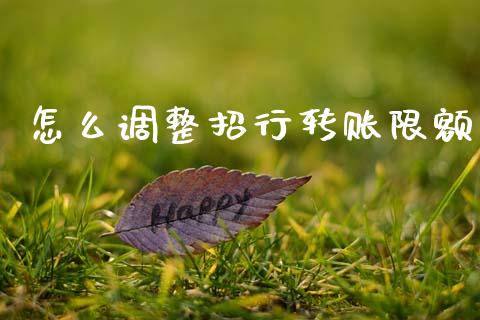怎么调整招行转账限额_https://wap.jnbaishite.cn_金融资讯_第1张