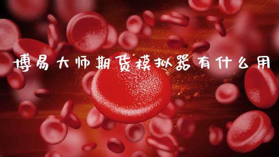 博易大师期货模拟器有什么用_https://wap.jnbaishite.cn_理财投资_第1张