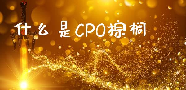 什么是CPO棕榈_https://wap.jnbaishite.cn_理财投资_第1张
