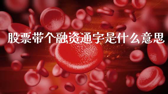 股票带个融资通字是什么意思_https://wap.jnbaishite.cn_全球财富_第1张