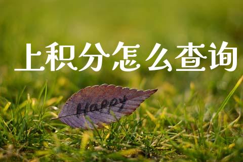 上积分怎么查询_https://wap.jnbaishite.cn_金融资讯_第1张