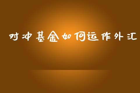 对冲基金如何运作外汇_https://wap.jnbaishite.cn_全球财富_第1张