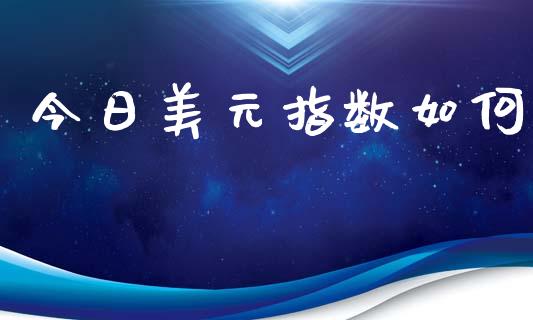 今日美元指数如何_https://wap.jnbaishite.cn_理财投资_第1张