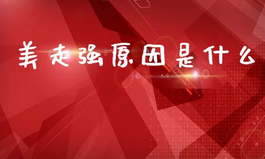 美走强原因是什么_https://wap.jnbaishite.cn_理财投资_第1张