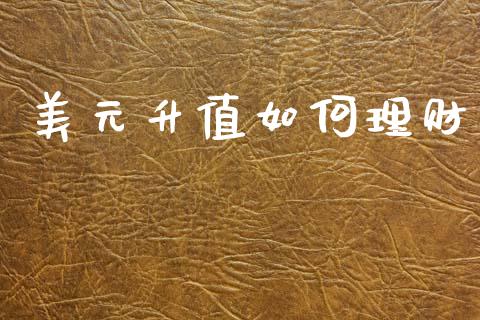 美元升值如何理财_https://wap.jnbaishite.cn_理财投资_第1张