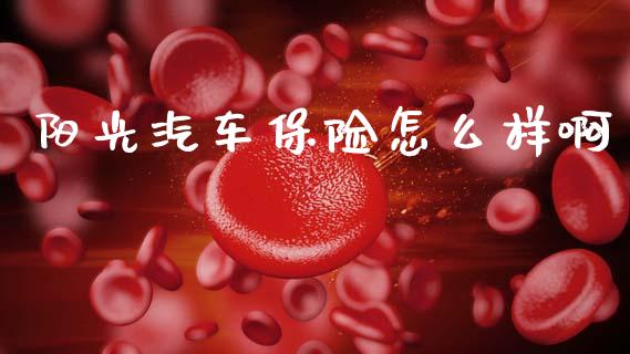 阳光汽车保险怎么样啊_https://wap.jnbaishite.cn_理财投资_第1张