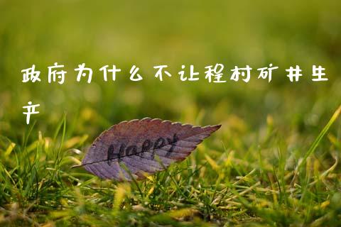 政府为什么不让程村矿井生产_https://wap.jnbaishite.cn_期货资讯_第1张